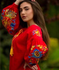 Вишиванка "Березнева"